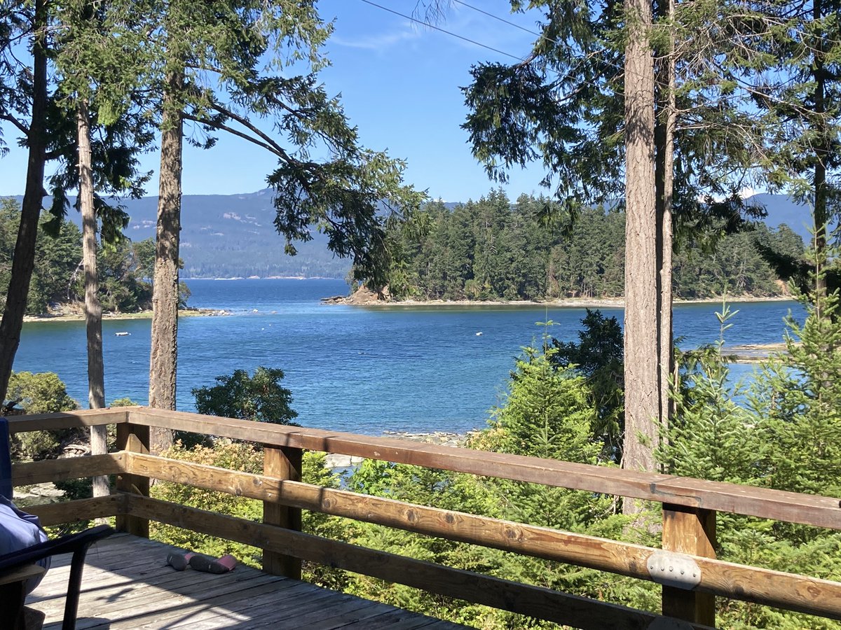 I went for the most beautiful swim the other night…and it’s been troubling me ever since. I should have needed to leap out, teeth chattering. I did not. The Salish Sea should be salmon-temp. It was not. My god, what have we done?