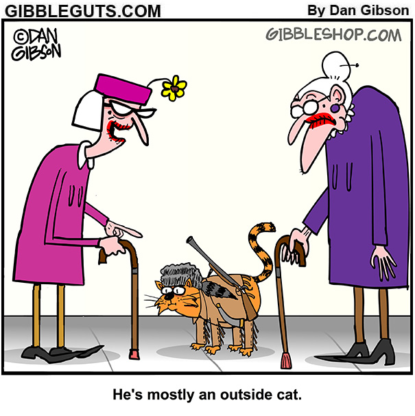 Gibblegutscomic's tweet image. Gert's Cat 🐱 #outsidecat #cat #catlife #catlovers #gert #tillie