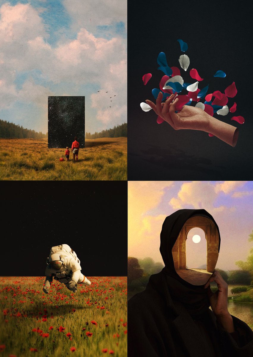 Let me take you there. 🍄