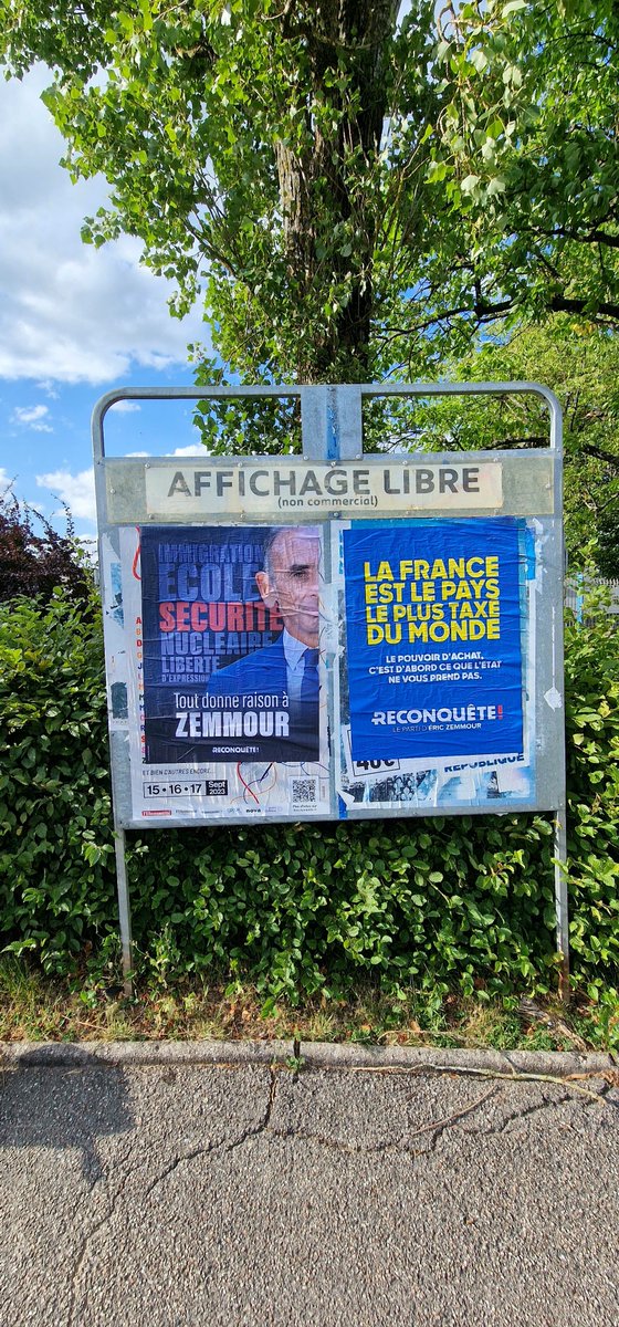 StephanePerry9's tweet photo. Reconquete! Vosges. Opération collage. Canton de Mirecourt. Bravo ! Nicolas https://t.co/HFNEkWgFZ7