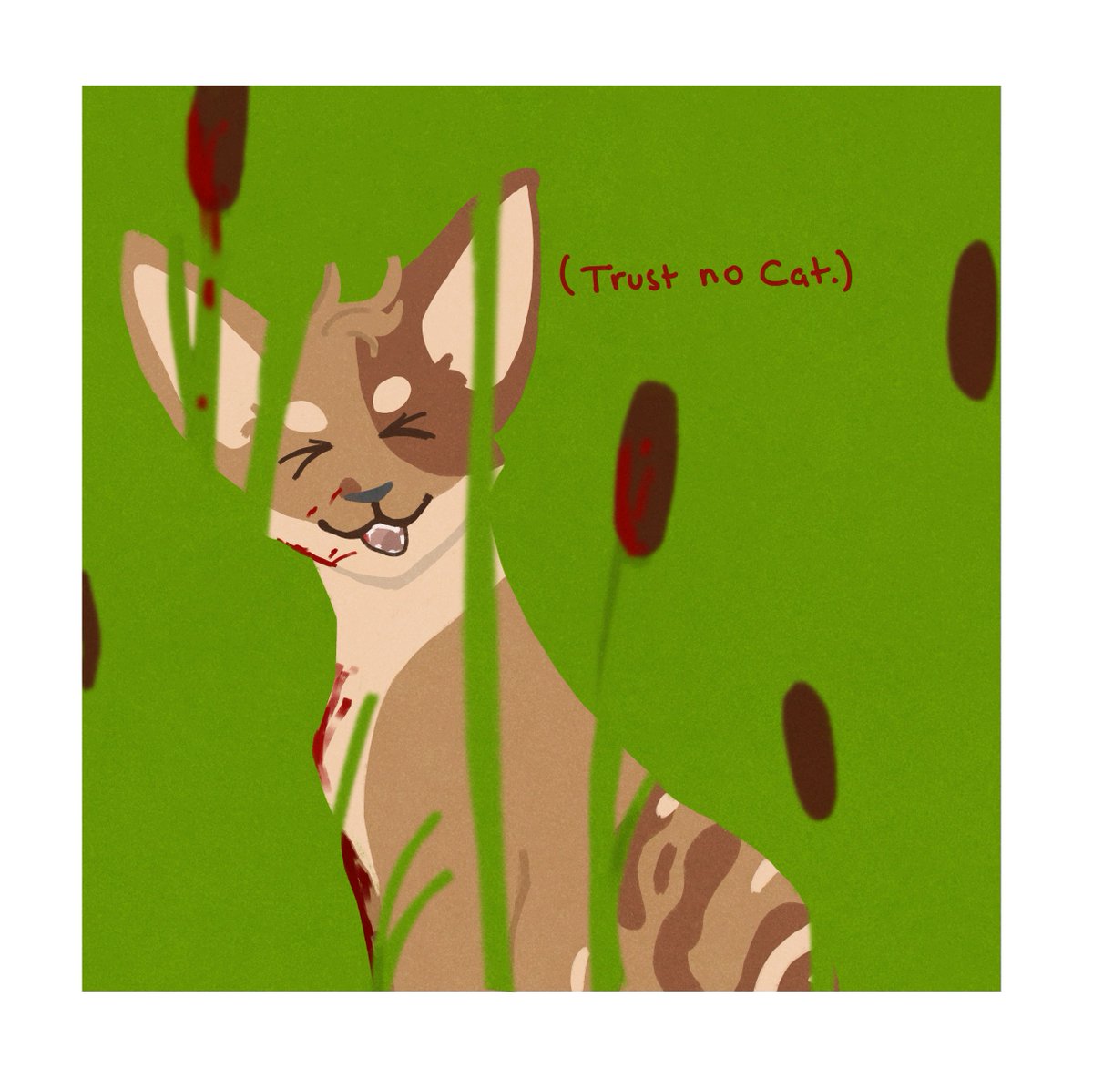 Avi! 🐈🐐 tweet media