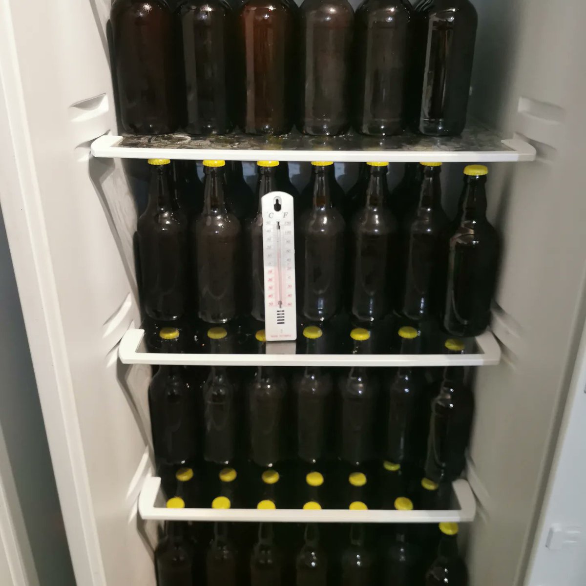 TonyCoulson10's tweet photo. Bottling day, 81 bottles filled, now the wait....#homebrew #homebrewing #longside #allgrainbrewing #homebrewery #ssbrewtech #homebrewer #scottishcraftbeer #neipa #geterbrewed https://t.co/6lvhdViWjw