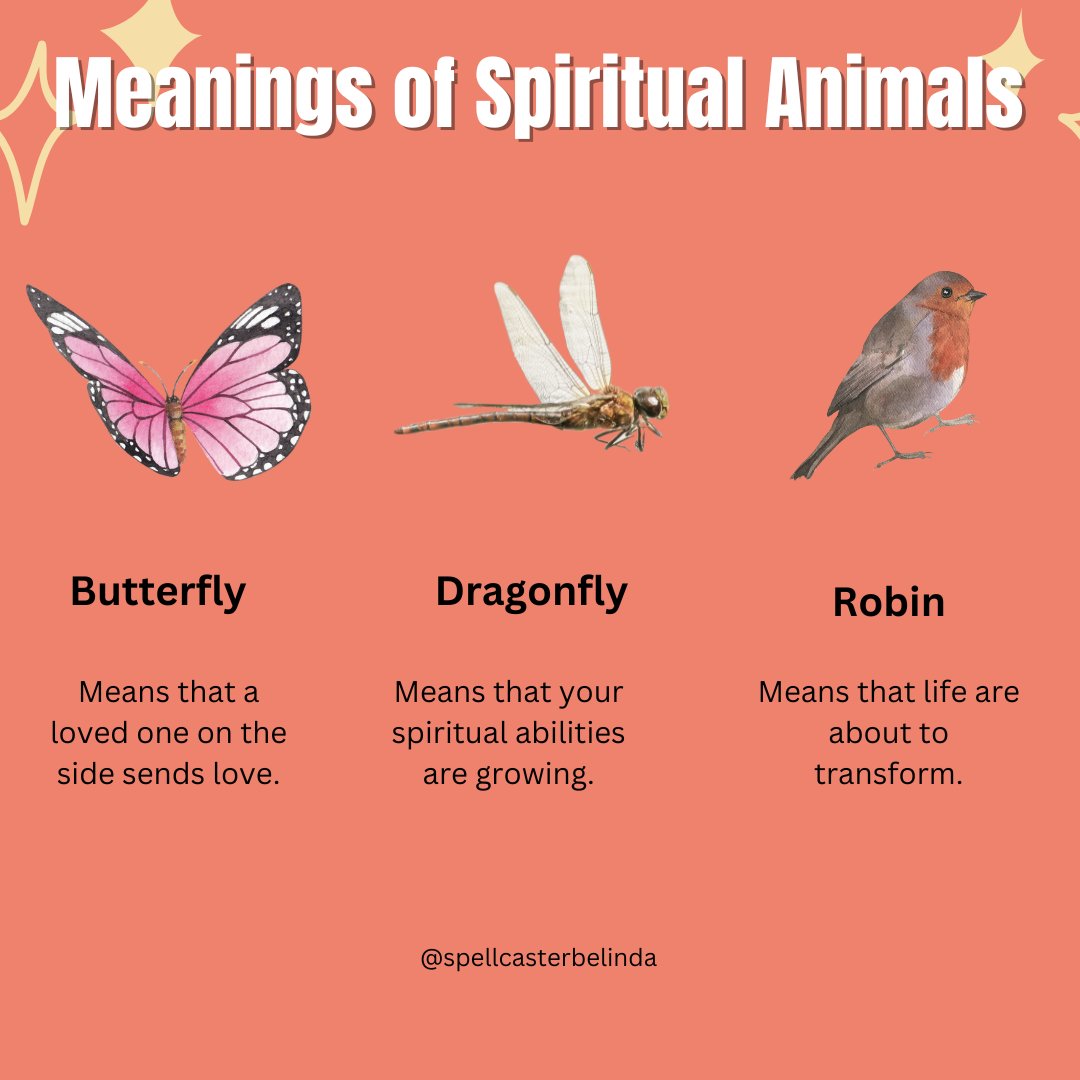 Meanings of Spiritual Animals.

#lovespell #spell #spells #spellwork #spellsupplies #lovespells #lovespellsthatwork #spellcasting #lovemagick #wiccanspells #wiccan  #witchy #witchcraft #witch #witches  #witchery #candlemagick  #spelljar #obsessionspell #obsessionspells