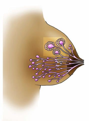 Its disheartening to hear about the experiences , where #blackmedicalstudents are subjected to marginalization, and self-doubt within academic sectors. The effects of such systemic biases are indeed detrimental and can hinder the growth and success of talented individuals.