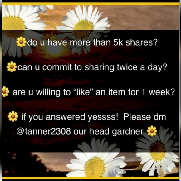 Debra Crowder tweet media