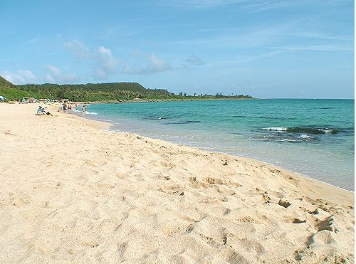 The most pleasant thing is to rent a bicycle and ride around the beach, then eat a large portion of chopped seafood, and then find a beach to enjoy the sea breeze and sun with sea lions. Is there anything more beautiful in the world?🍻☀️