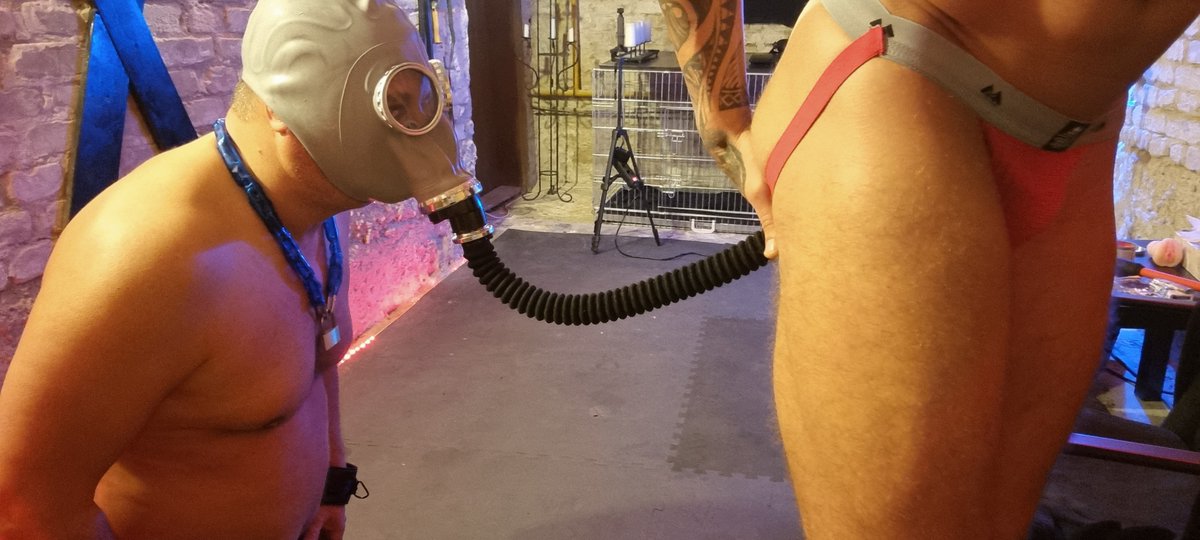 adonisdomtop's tweet photo. Would you trade with my slave? My slave even enjoys farting because it comes out of me! Hierarchy works! #master #slave #slavetraining #bdsm #fetish #alpha #domination #humiliation https://t.co/YlEVhUetuG