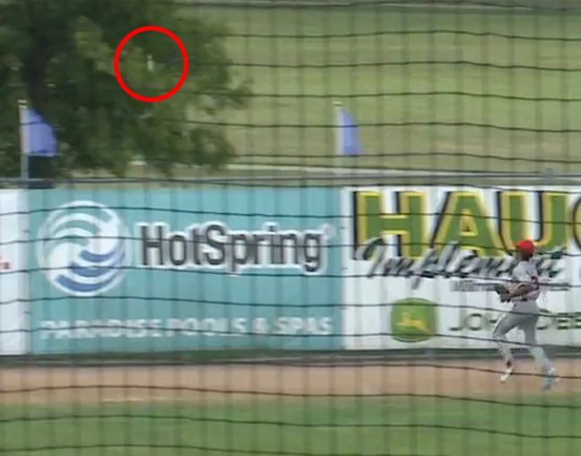 Willmar Stingers tweet media