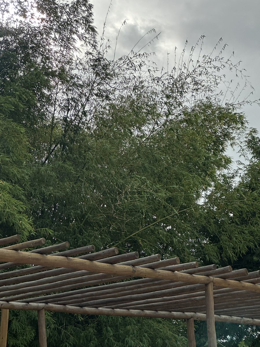 cynguedes's tweet photo. Onde há um ponto de luz a essência Divina resplandece. https://t.co/pMScB8GdrJ