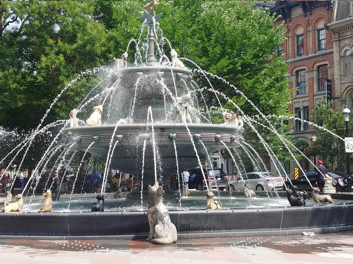 grafikrobot's tweet image. Leisurely walk and n Toronto.. It's a dog fountain.