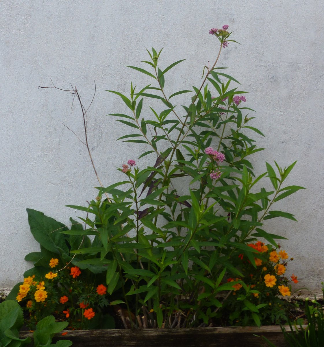 Eloise White people have to fight racism tweet media