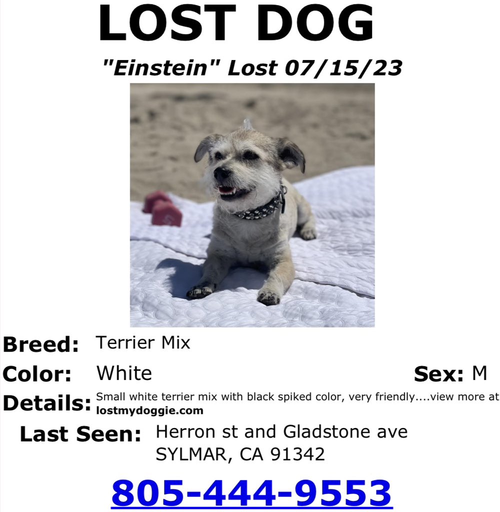 Becaneck's tweet photo. @KTLA hi we lost our dog. Any chance you can help? https://t.co/O11LOs1FMu