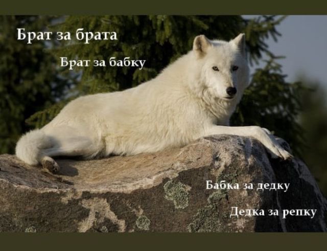 JBneveryours's tweet photo. @matniy_yozhik От души, дорогой Шерли~ https://t.co/3vqEro9yhv