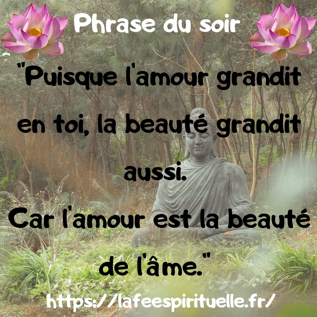 feespirituelle's tweet photo. 📷Message du soir 📷
https://t.co/1YIqXE6wgZ
#citationpositive #citationspirituelle #zenattitude https://t.co/S8U8Jfh9zC