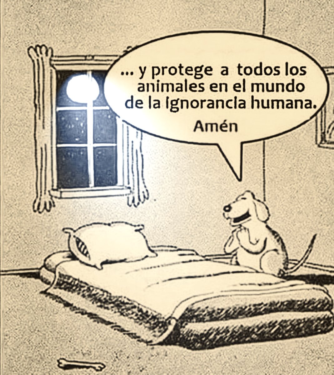 SOS Abuelos tweet media