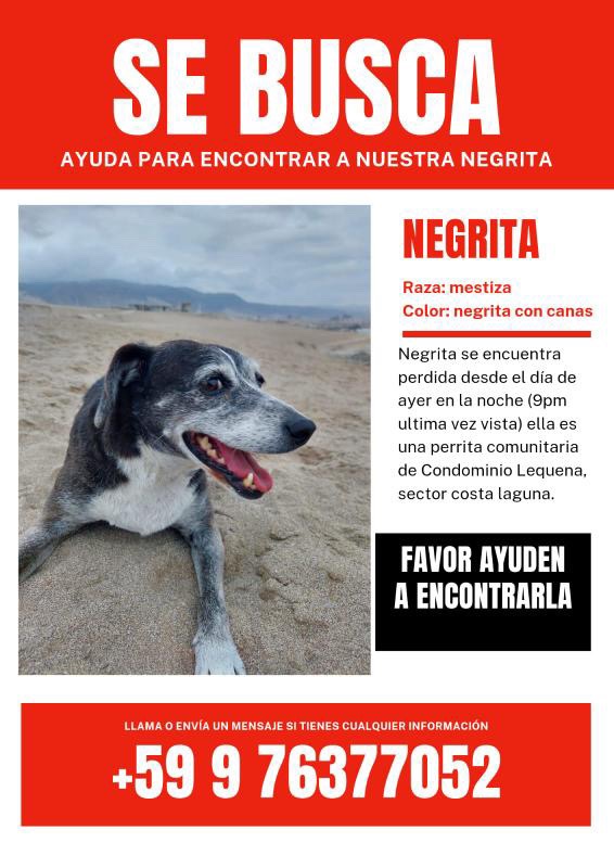 clau_tabilo's tweet photo. La Negrita sigue perdida, por favor de su apoyo para encontrarla 💜. #Antofagasta https://t.co/0jQbLa2WZ5