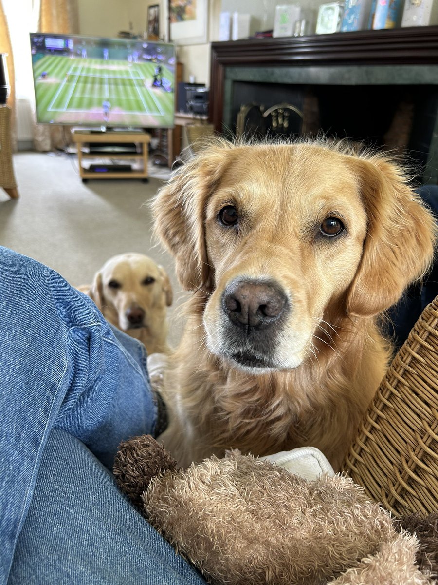 BaxtertaxKate's tweet photo. When you’re trying to watch the match and the girls aren’t interested @MrAndrewCotter https://t.co/F5NYodxeDM