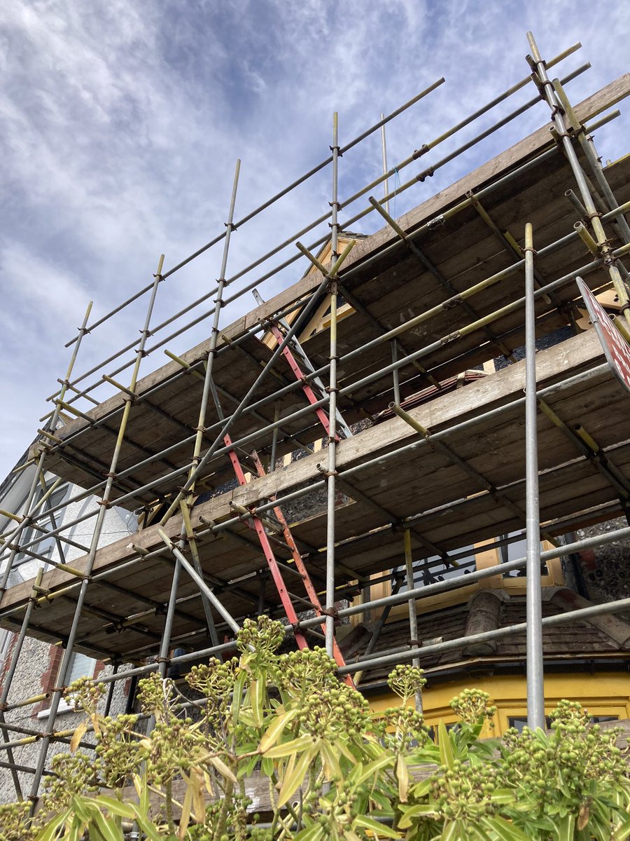 When I’m feeling cheery enough to take the rejection, I sometimes get in touch with strangers who have scaffolding up, and ask if they would consider erecting bird boxes. Nearly every time they say no but today, for only the second time, someone said YES! 💫 (1)