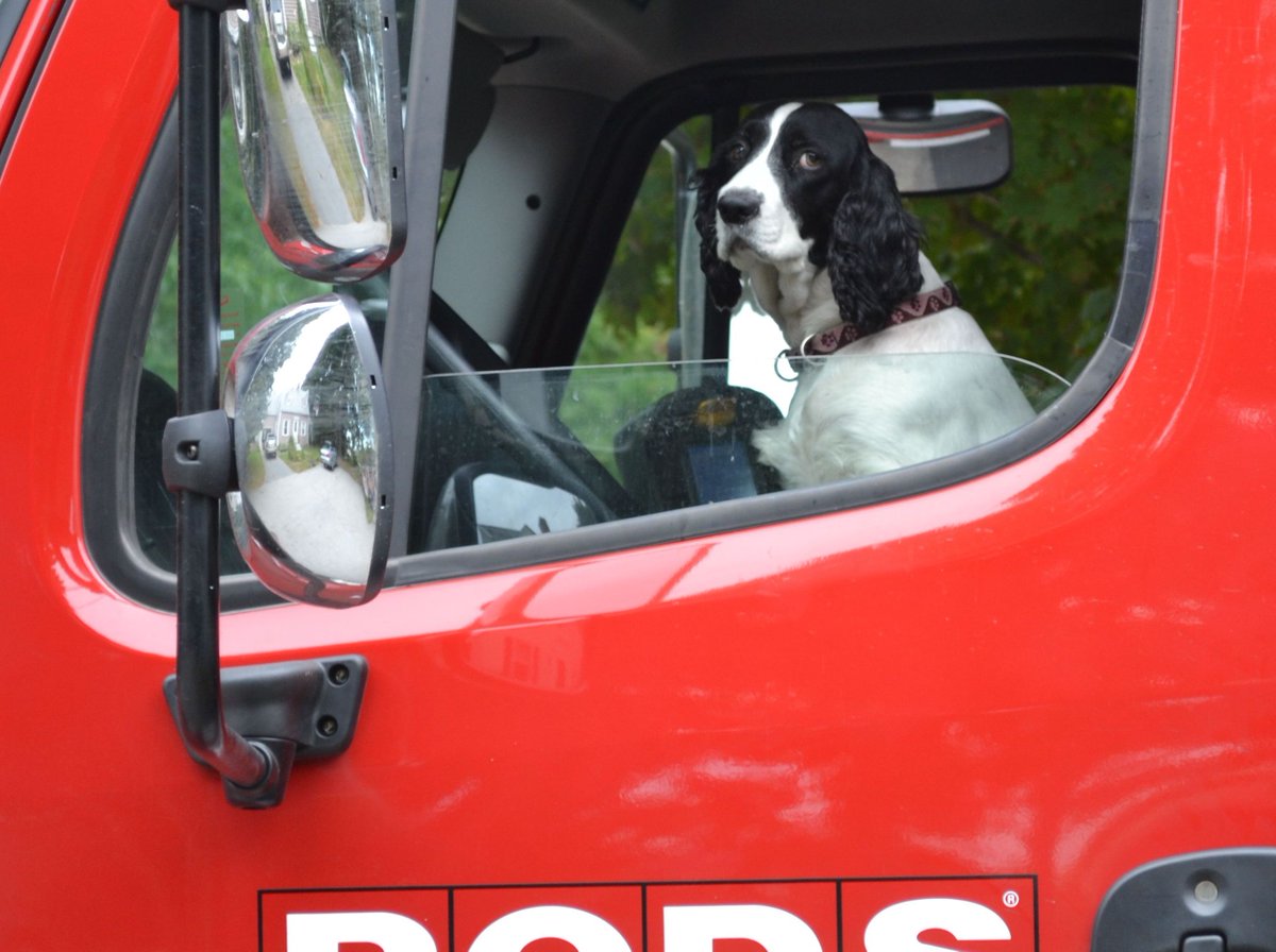 tripswithpets's tweet image. Pets On-the-Move: A Moving Guide for Pets.
Our guide will help you navigate you and your pets move every step of the way. #movingwithpets tripswithpets.com/pet-moving-gui…