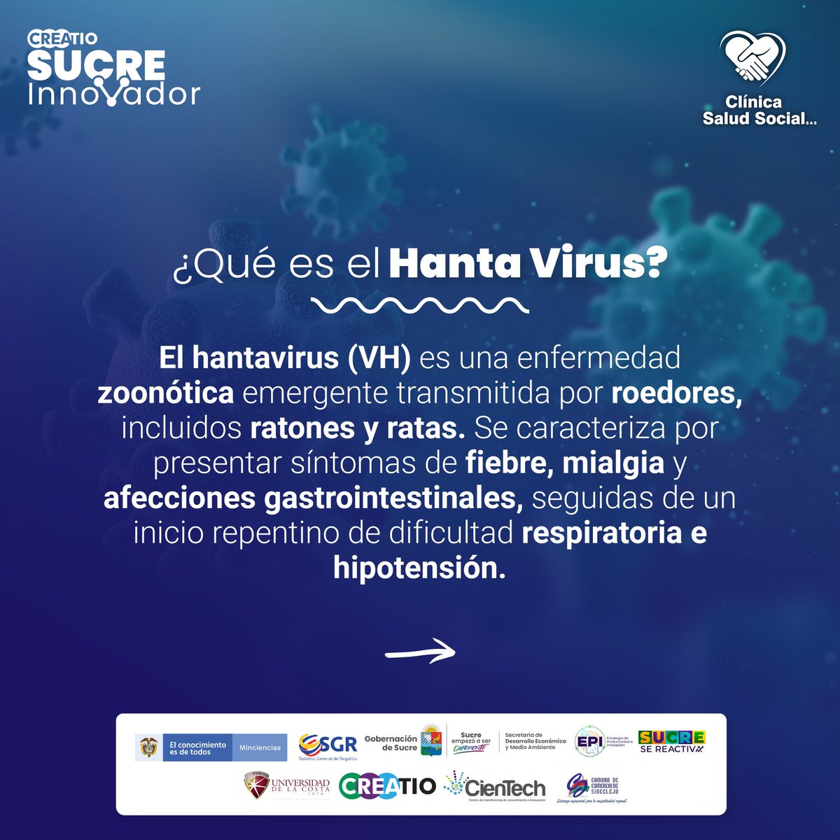 CreatioUnicosta's tweet photo. ¡Un virus que quizá no conocías! 😮

👉El Hantavirus es una enfermedad viral aguda grave, causada por el virus Hanta. Los roedores lo transmiten a las personas, eliminando el virus en la saliva, las heces y la orina.🐁
 
¿Conocías esta enfermedad viral? 🤔 https://t.co/uxv2TA6dPP