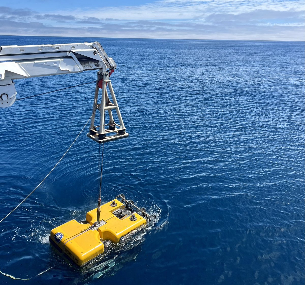 ☀️☀️#DiveAlert!☀️☀️ We are launching our #ROVs for the final dive of this expedition with @Ocean_Networks! Watch live and submit your questions to our team! NautilusLive.org
#ONCabyss #KnowTheOcean #CFIfunded