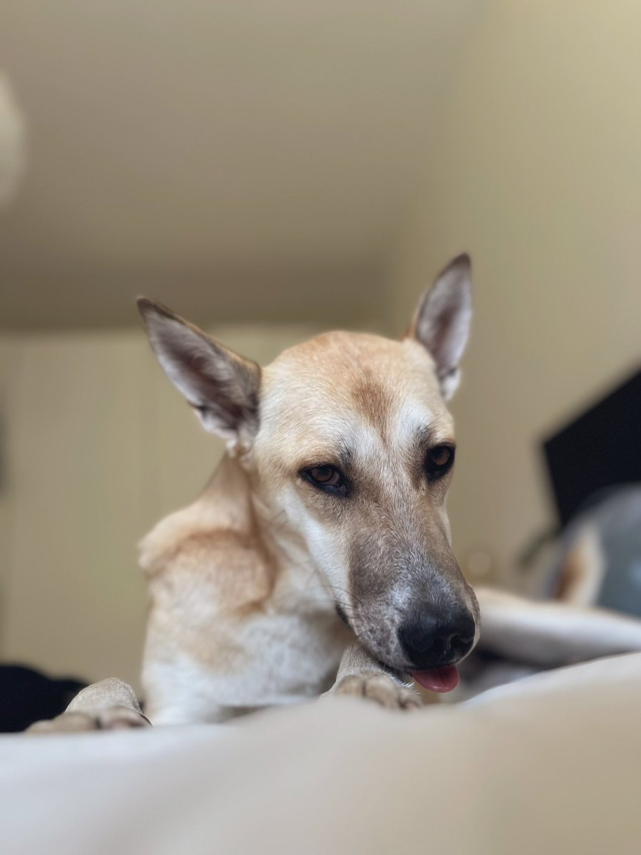 älskar så mycket kan inte sluta visa upp henne