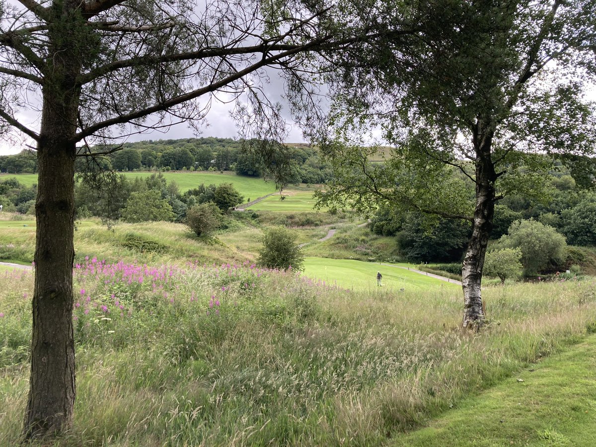CavGC's tweet photo. Well played to our @golf_mdga team in the #DunhamForest today with an excellent 5-2 home win against @TBPGC to take them into the last eight. Tough conditions ☔️ with wind and rain ... share's the summer gone! https://t.co/vMQ16xcDvR