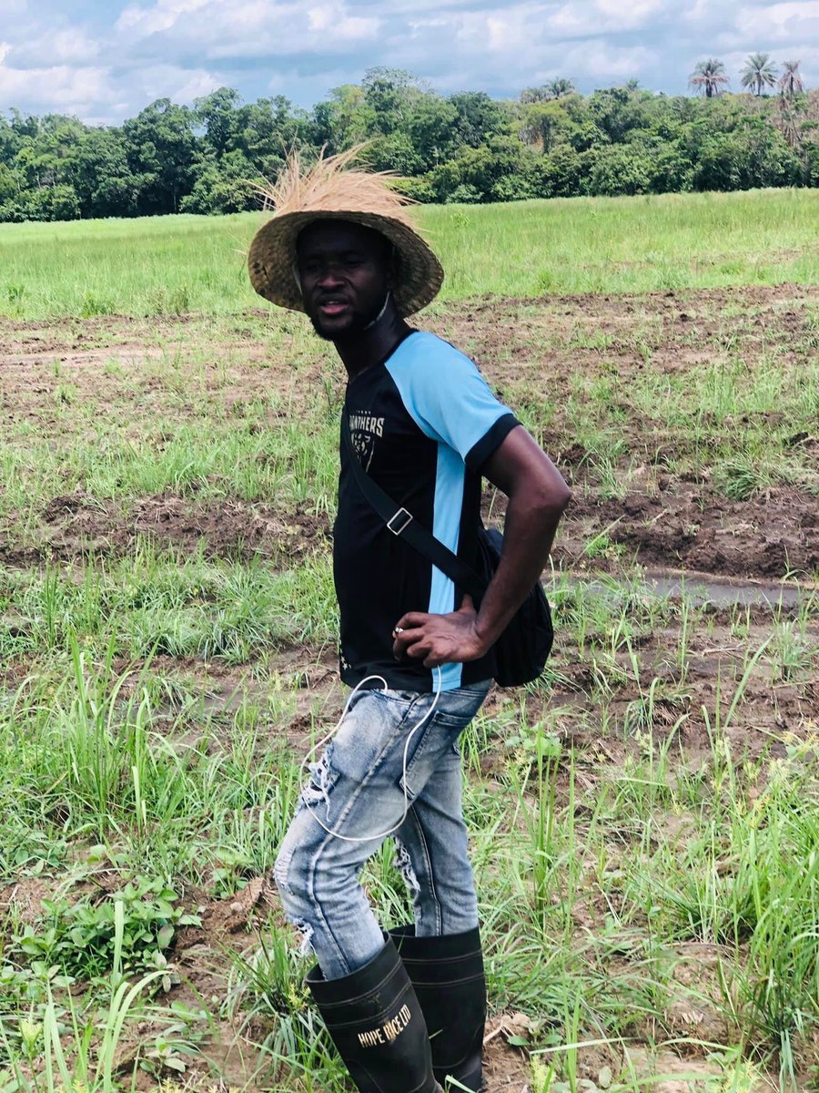 IvanJabbie's tweet image. #SierraLeone #presidentBio  this is all what we need as a nation to enhance food sufficiency