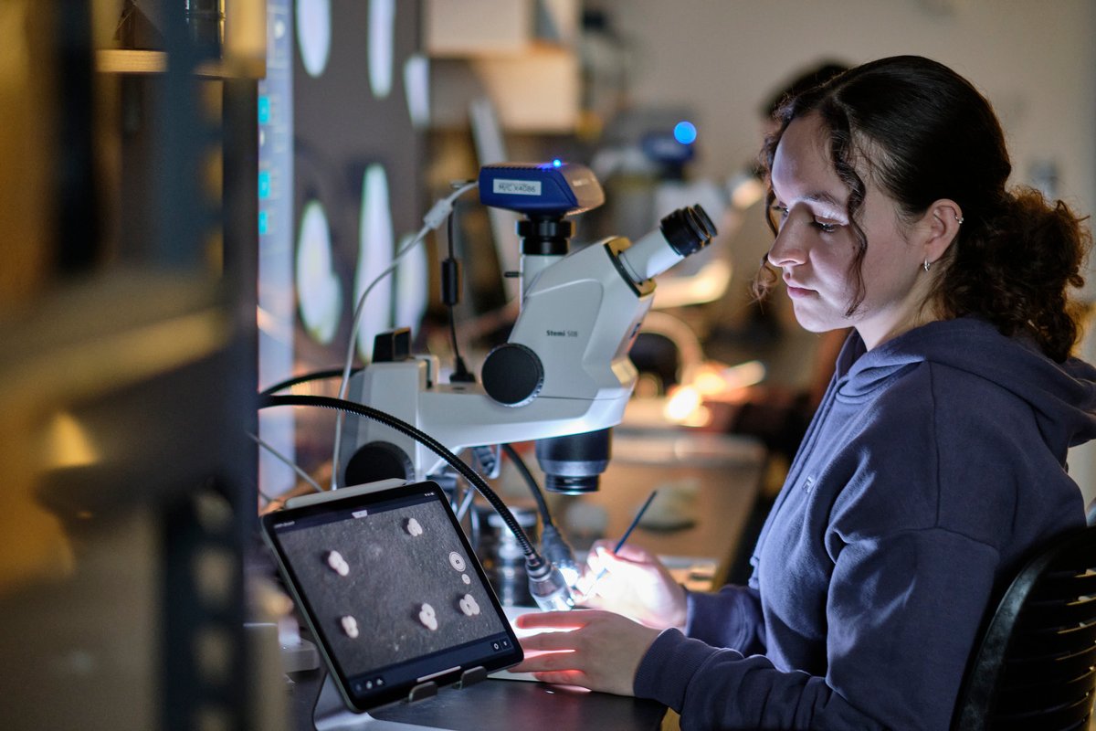 Dr. Allison Jacobel tweet media