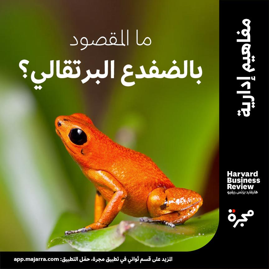 #ثريد: ما مفهوم الضفدع البرتقالي؟

الضفدع البرتقالي (Orange Frog): مصطلح يعود إلى الأستاذ بجامعة هارفارد وخبير علم النفس الإيجابي "شون آكور" (Shawn Achor)، ويُقصد به السلوك المتفائل والإيجابي الذي يسلكه الفرد ضمن مجموعة من الأفراد السلبيين

- أكمل قراءة #الثريد