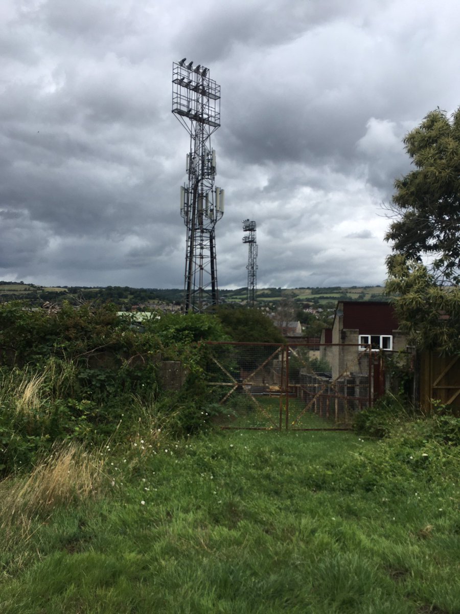 Nicky Vignoli tweet media