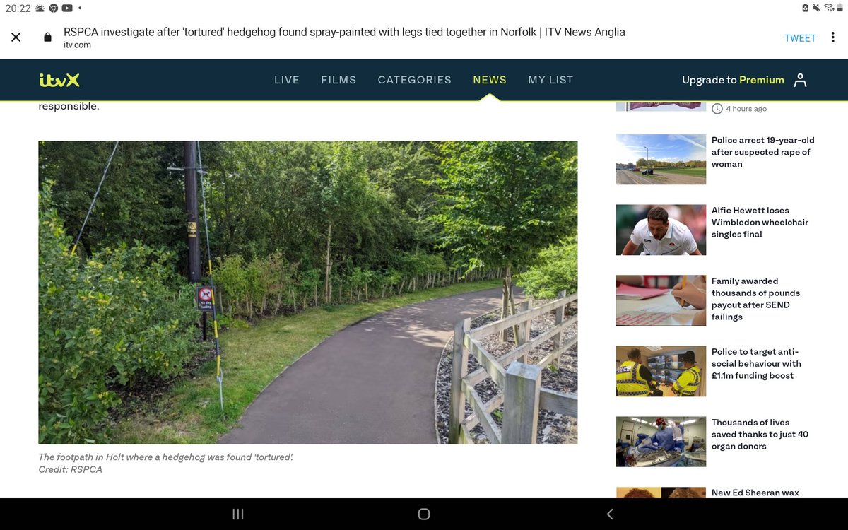 seasylvia2005's tweet photo. Does anyone recognise this area in Holt? Poor hedgehog. This monster must be found. Any CCTV? https://t.co/QxzyZu5vAz