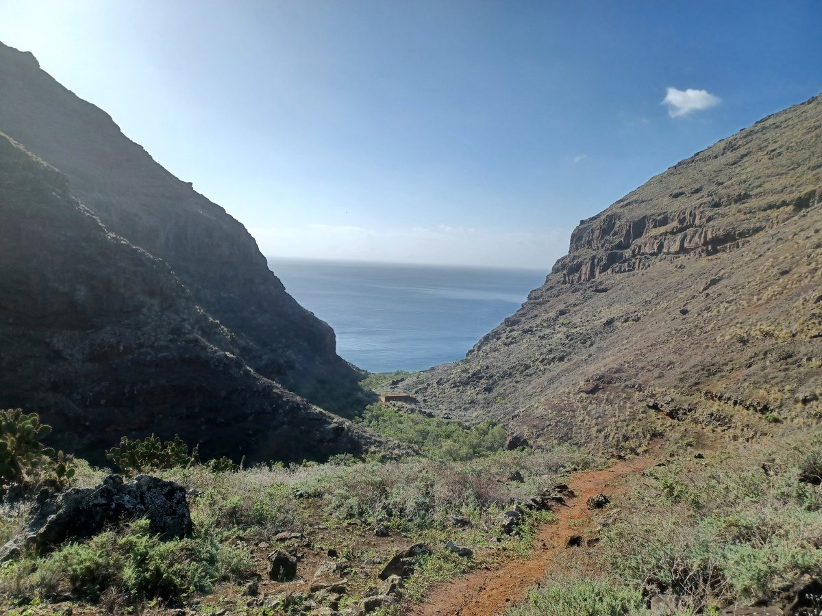 St Helena is a mega hiking destination, many of valley walks go from sea level to 500m+. If nothing else I'm gonna be a lot fitter by the end of this job!