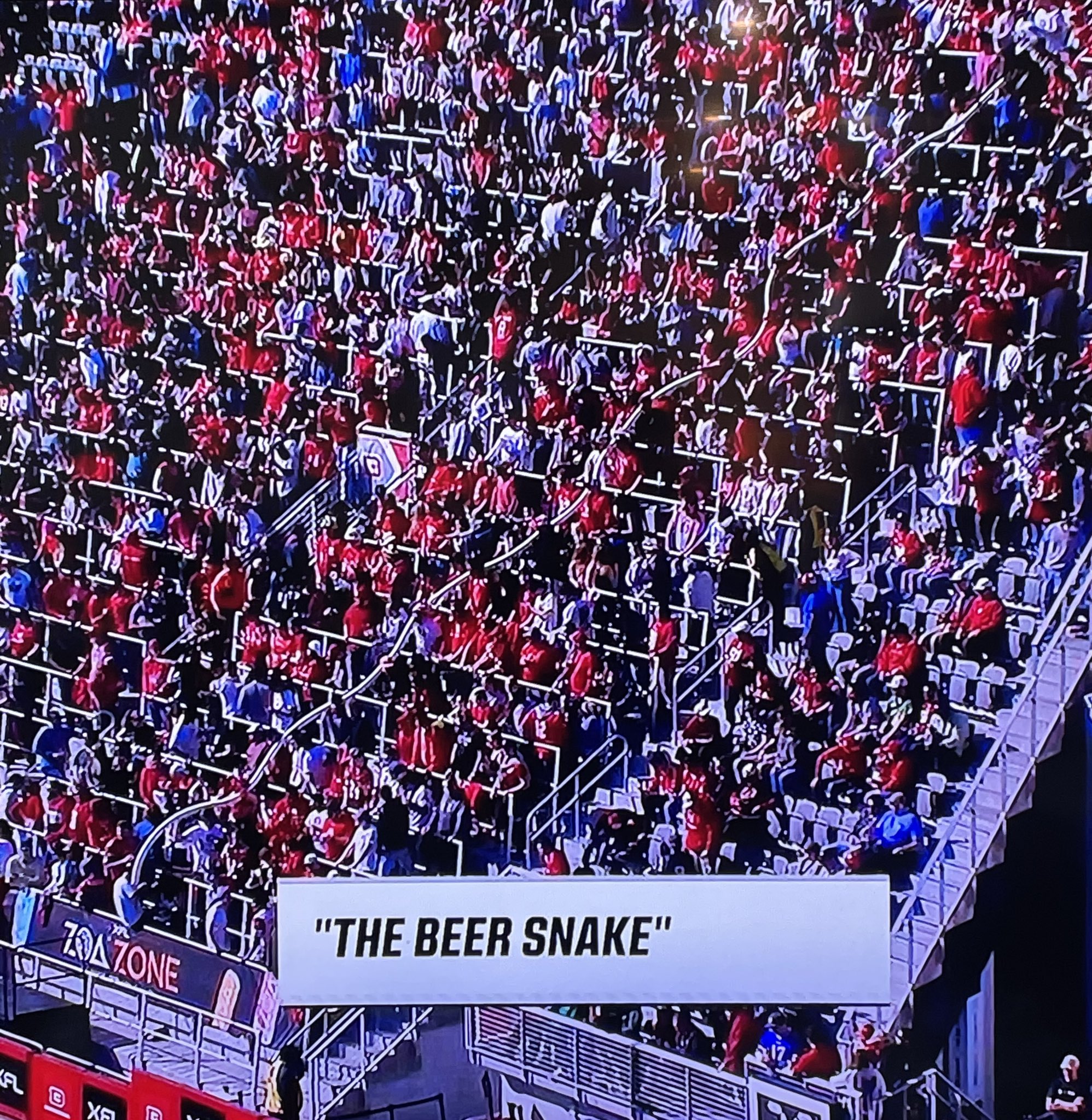 The Milly Goats Podcast on Twitter "Happy WorldSnakeDay to the