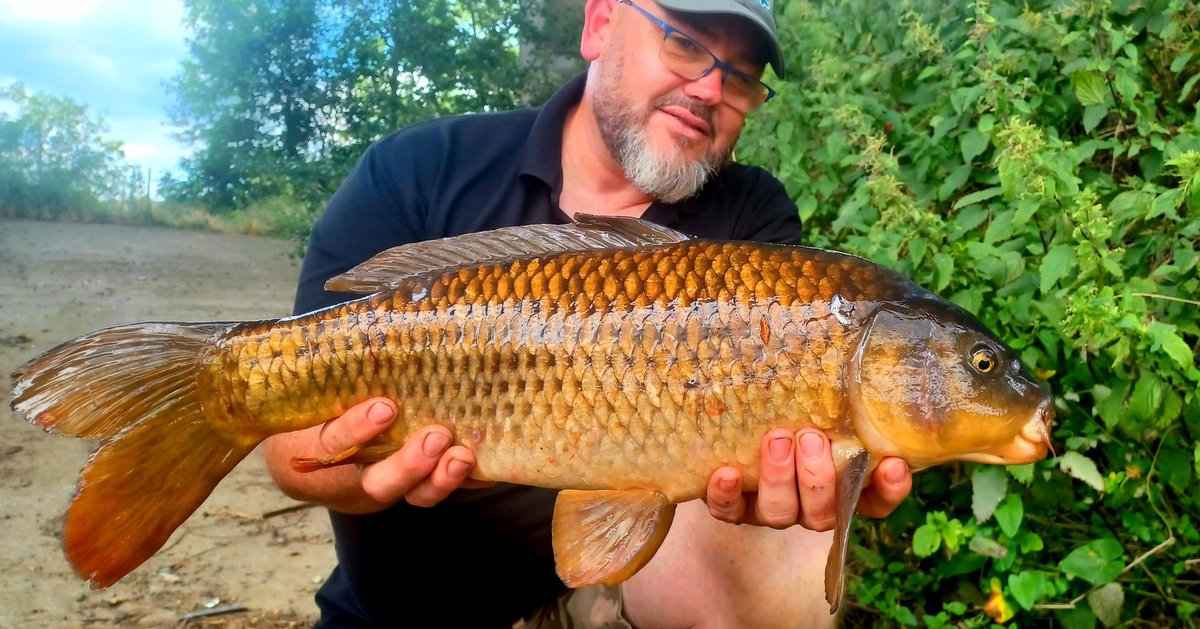 fdcbaits's tweet photo. Quelques heures pour ce petit fish pris à la red garlic 16mm + pop up 12mm squid fdc baits 
#fdcbaits #redgarlicsalmon #carp #carpe https://t.co/PrdBroJZHu