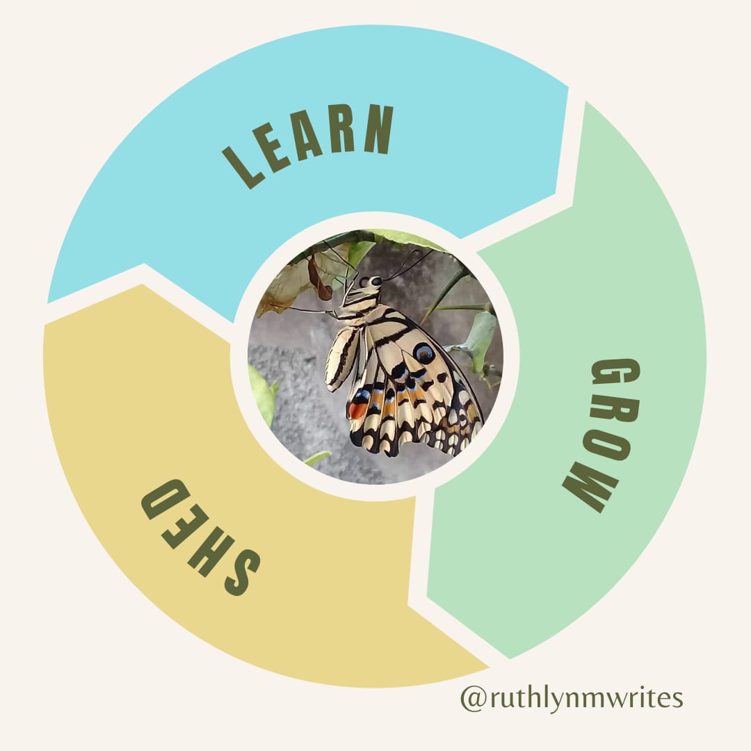 RuthlynMWrites's tweet photo. The path of growth is not a smooth one. There is a constant ‘learn-grow-shed’ cycle that unsettles the old man and provokes the saint to grow ever closer to Christ... https://t.co/wAxOSbQ4mw  #SpiritualGrowth #onwardforwardupward https://t.co/ho770s9ThH