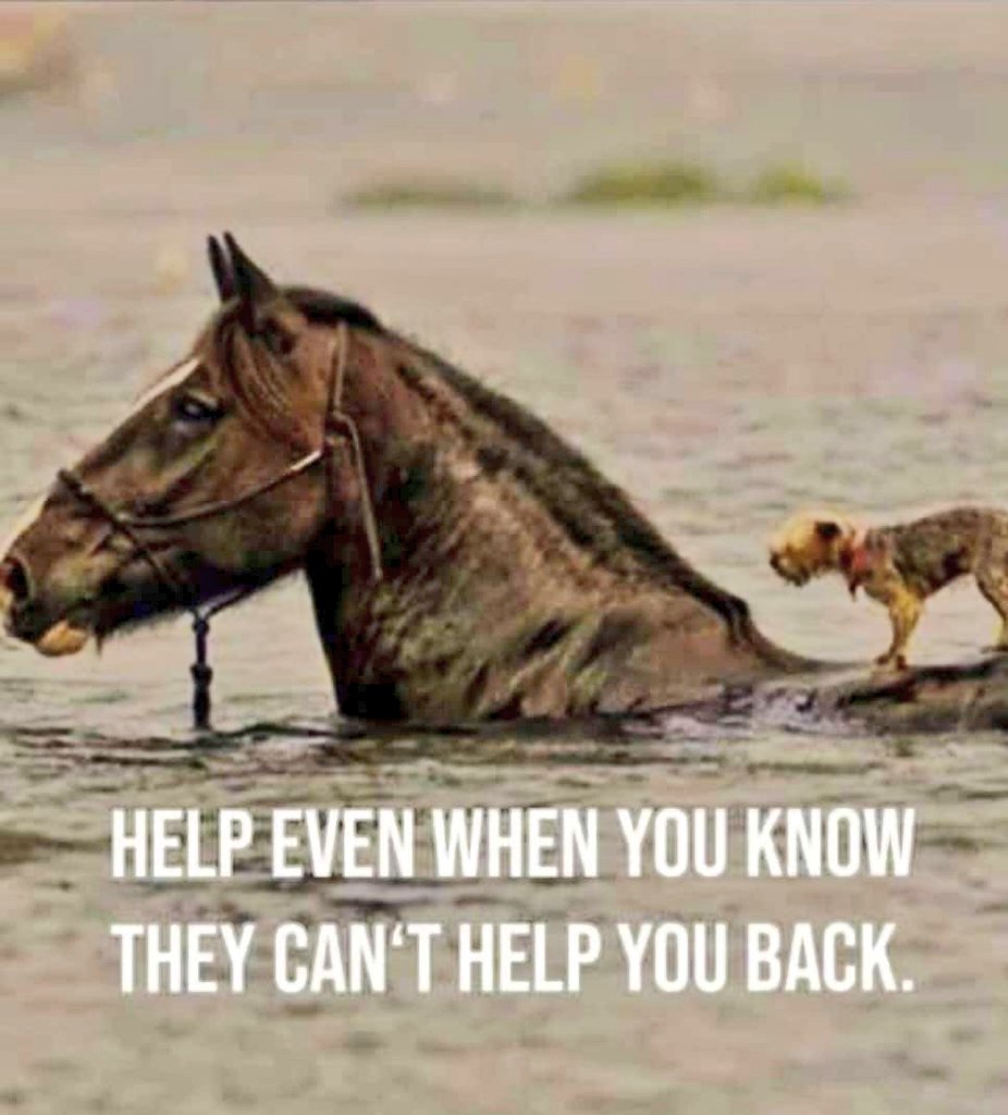 میں نے دیکھے ہیں مشکلوں میں بدلتے ہوئے لہجے 
میں نے ہر بار ساتھ دیتا ،صرف خدا دیکھا ہے