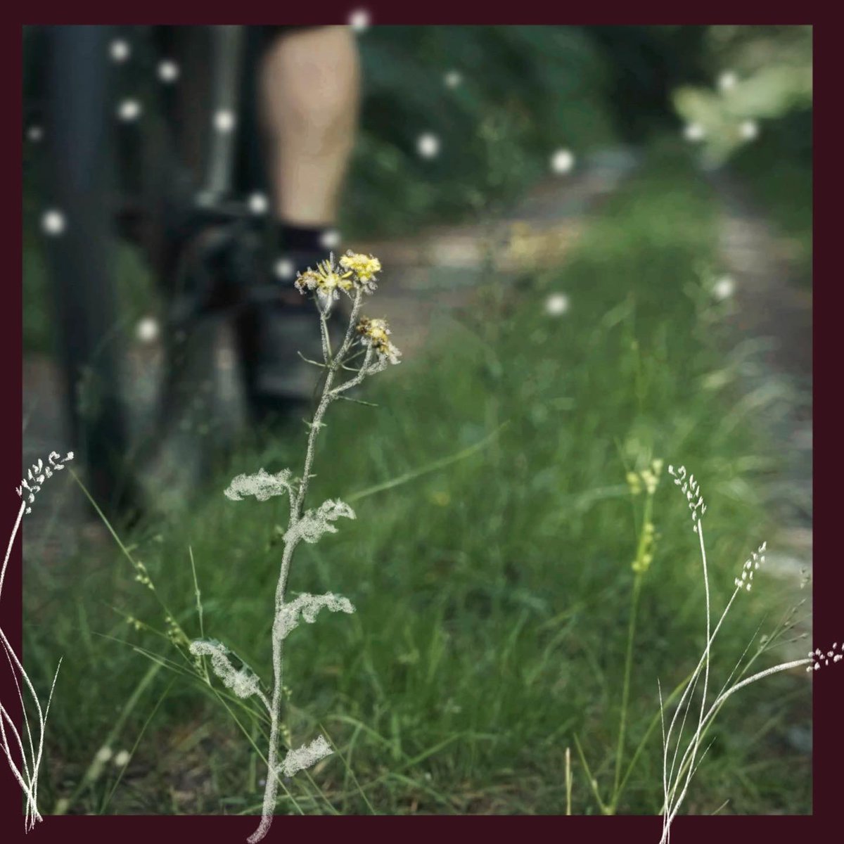 Summertime Trails, there is no better feeling that getting out amongst it with a cool breeze and late afternoon sun. A new #short film will be coming soon…

#alpkit #sonderbikes #sonderstories #goniceplacesdonicethings #sondersignal #hardtail #devon #fujixseries #titaniumbike