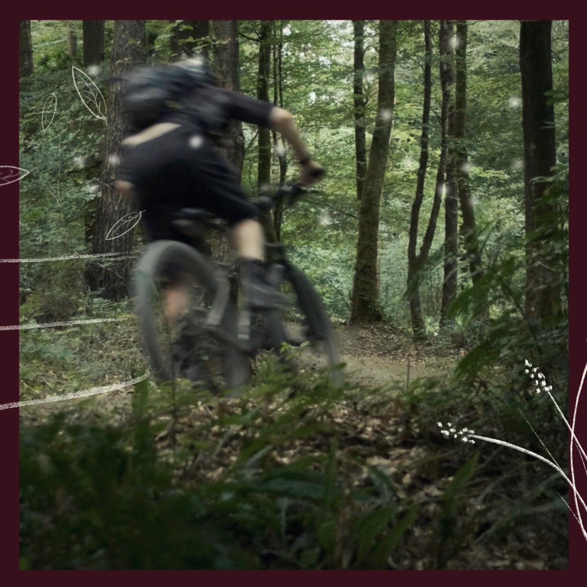 mtbbikepacker's tweet image. Summertime Trails, there is no better feeling that getting out amongst it with a cool breeze and late afternoon sun. A new #short film will be coming soon…

#alpkit #sonderbikes #sonderstories #goniceplacesdonicethings #sondersignal #hardtail #devon #fujixseries #titaniumbike