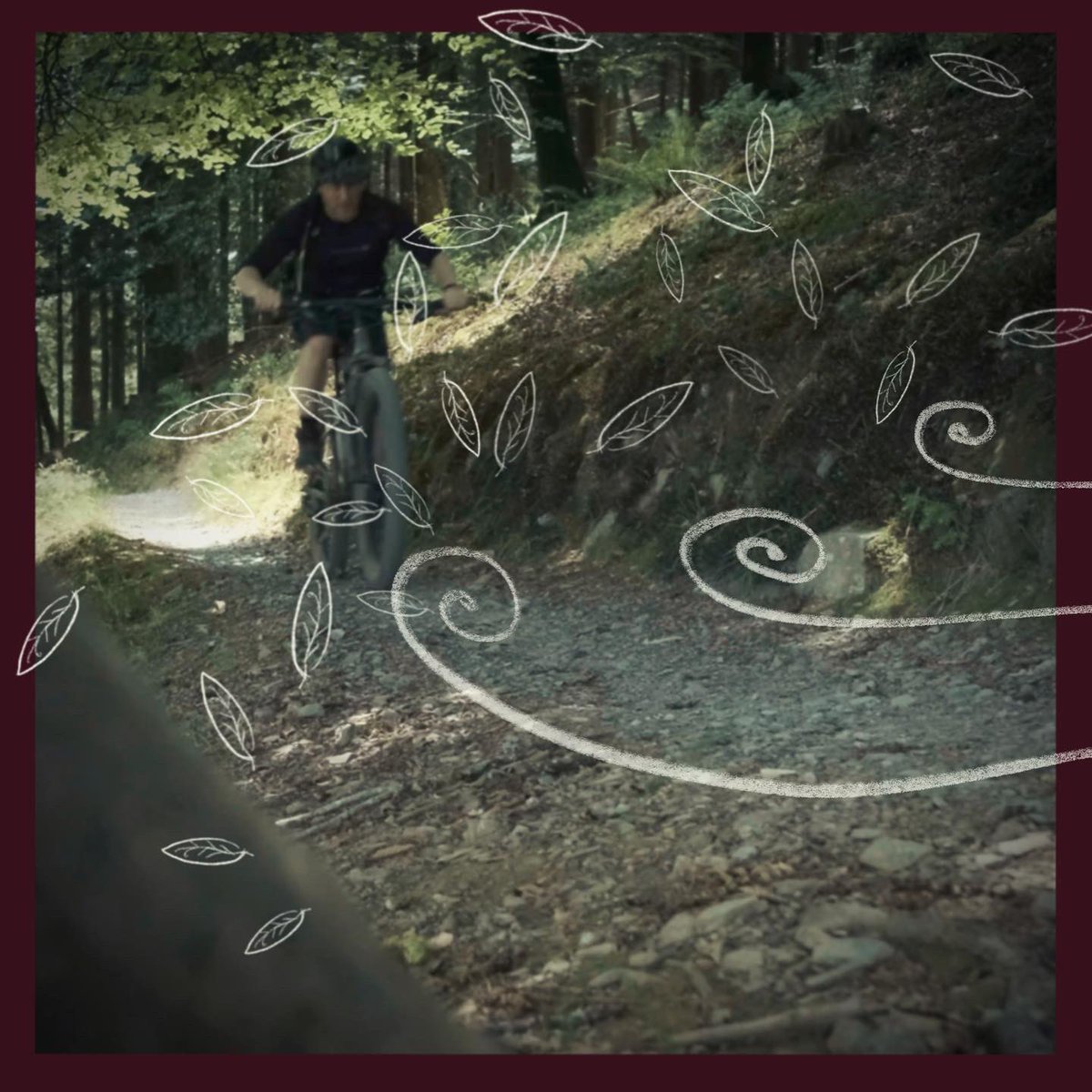 mtbbikepacker's tweet image. Summertime Trails, there is no better feeling that getting out amongst it with a cool breeze and late afternoon sun. A new #short film will be coming soon…

#alpkit #sonderbikes #sonderstories #goniceplacesdonicethings #sondersignal #hardtail #devon #fujixseries #titaniumbike