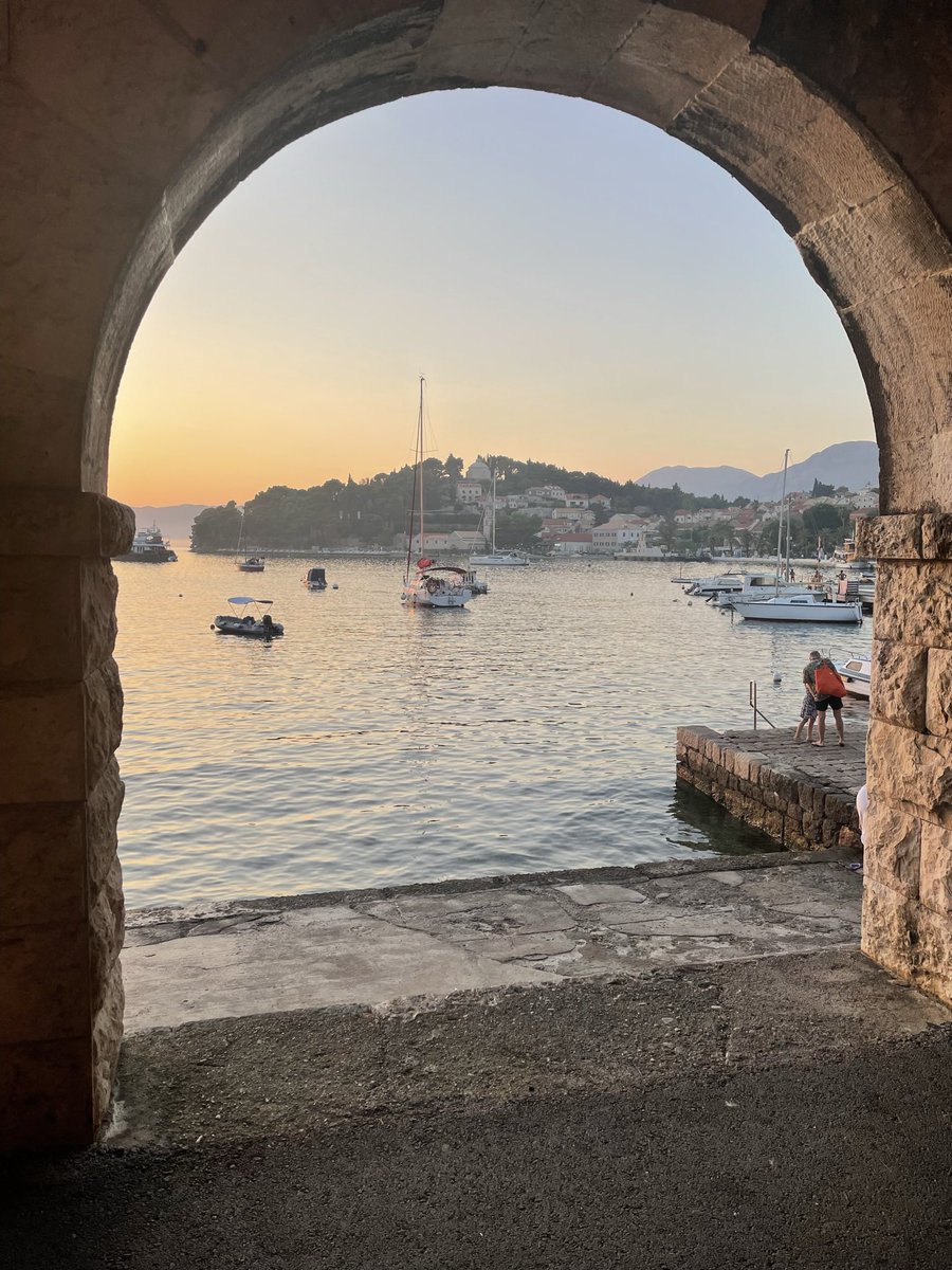 Sarah Cotman tweet media