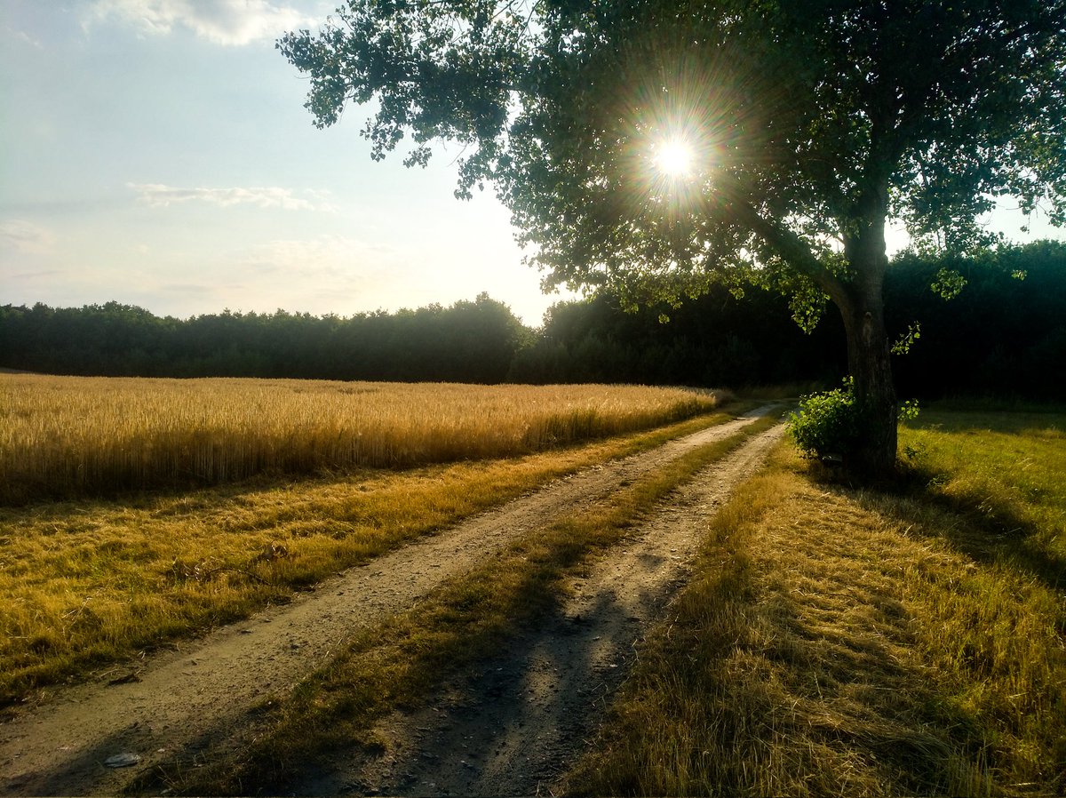 michal_kudrna's tweet photo. Dnes koupací výlet se ženou a přáteli ke Berzdorfer See (díky @kacanev ). Je to tam krásný, doporučuji.
----
Trénink: 30 km volně
Rozdělil jsem to na půl, jednu půlku po silnici okolo jezera, druhou v podvečer po stezkách doma. Spokojený já😊
#running #trenink #roadfromhell https://t.co/BHSAE3fuc5
