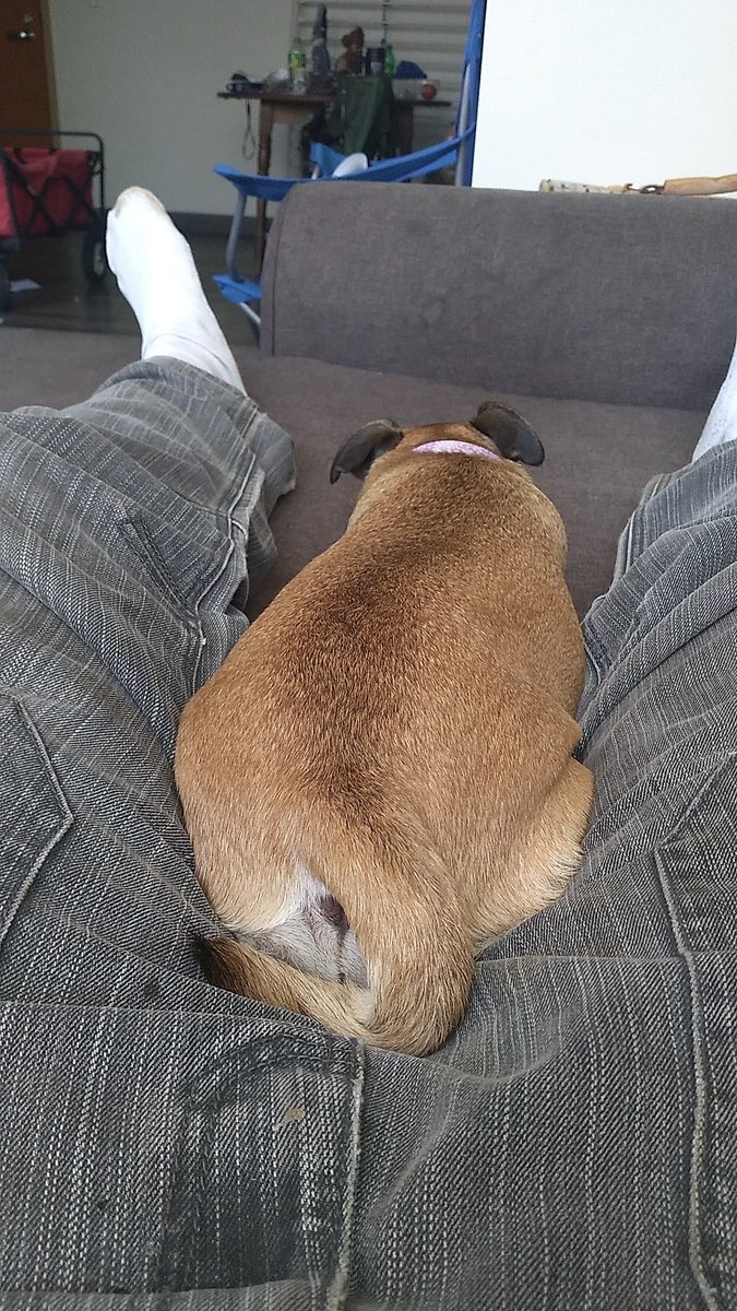 Thomas Shear tweet media