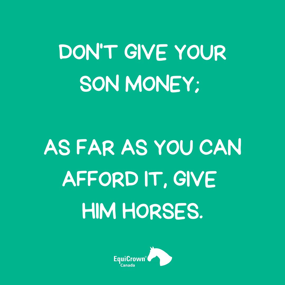 equicrowncanada's tweet photo. 🐎❤️

#EquiCrownCanada #HorseJokes #horsephysiotherapy https://t.co/5rBXWitAke