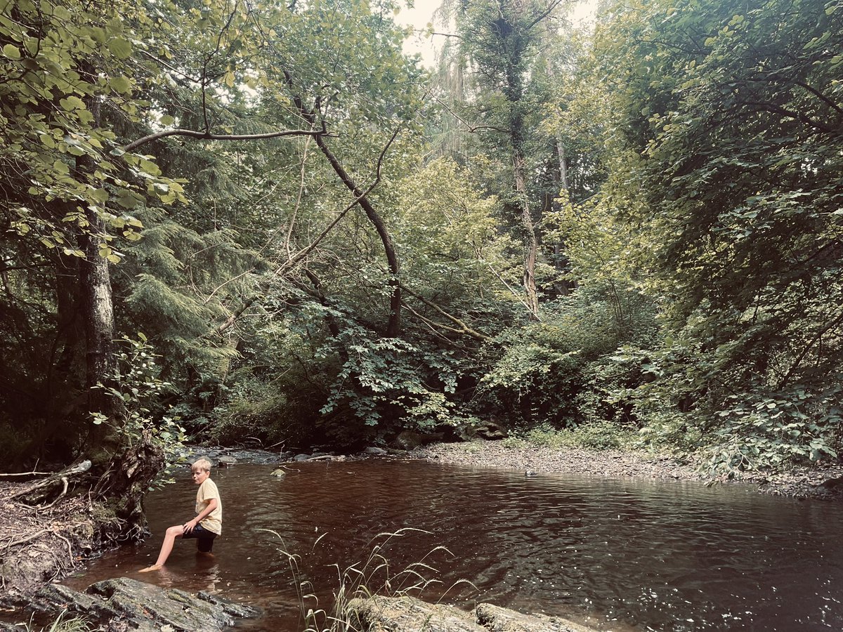 Lovely weekend walking in beautiful Denbighshire on lesser trodden #paths🏴󠁧󠁢󠁷󠁬󠁳󠁿🥾🌳 <a href="/DenbighshireCC/">DenbighshireCC</a>