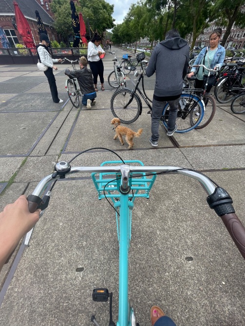 Jaclyn A. Siegel, PhD tweet media