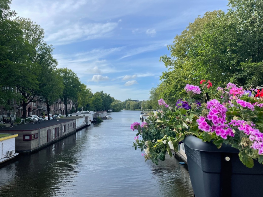 Jaclyn A. Siegel, PhD tweet media