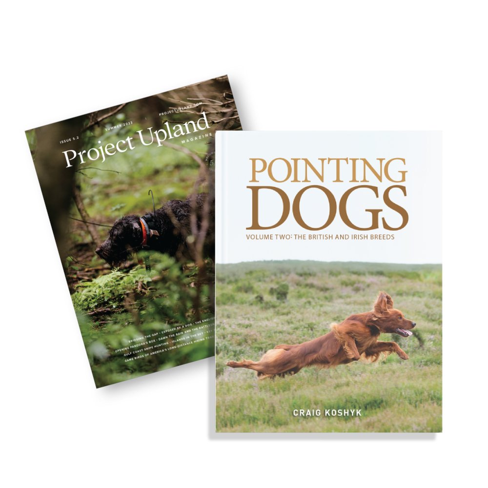 Project_Upland's tweet image. Sale Ends Today: Pointing Dogs Volume 2 + FREE Subscription - mailchi.mp/fac9e09630c4/p…