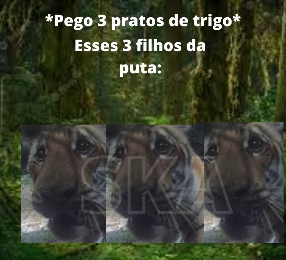 Shitpost só que de verdade (@shitpostverdade) on Twitter photo 