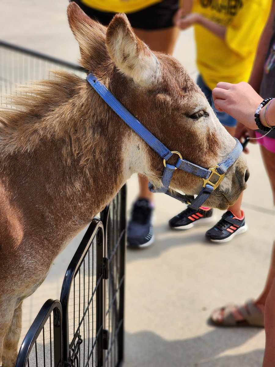 Lil more than just baseball today...
<a href="/JCDreamTeam/">Johnson City Call Center</a>